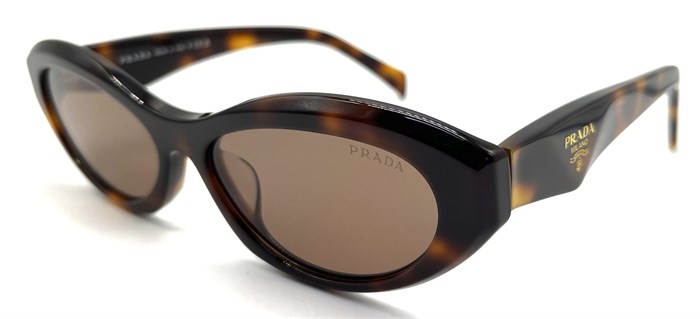 PRADA PR26ZS 14L09Z 3N 15850 - фото 26170